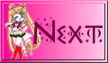 Next Page