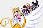 Visit this Ring's Home Page!